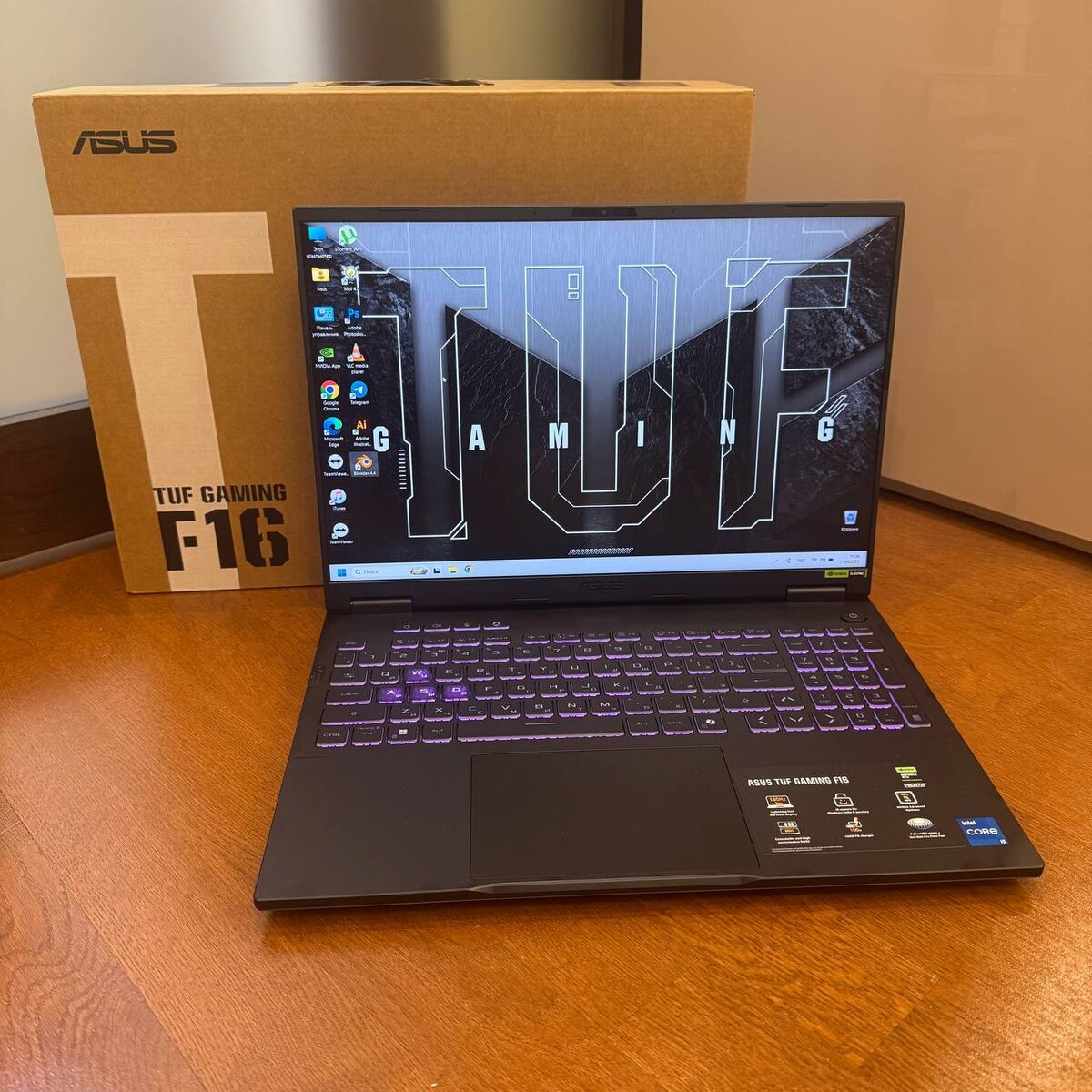 Asus TUF Gaming FX608J zamaeviliya