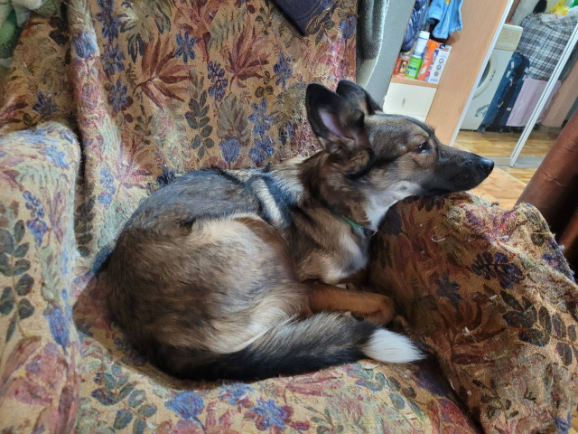 Фото: Злой Екб