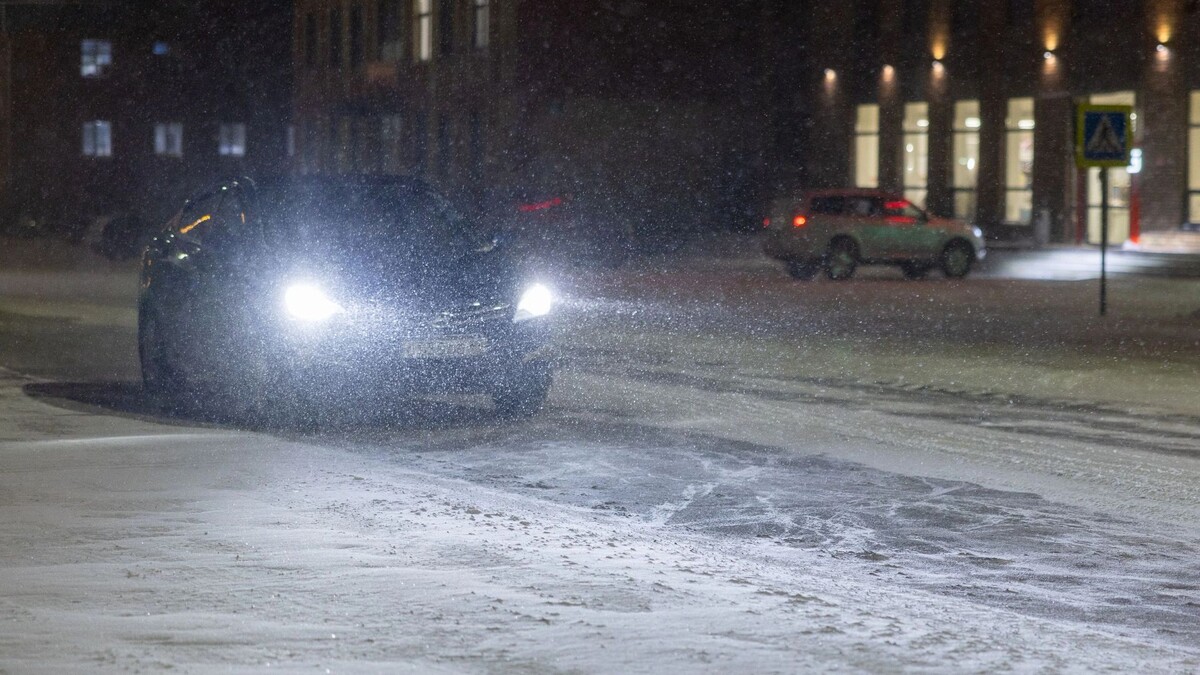    Фото: Федор Воронов/«Ямал-Медиа»