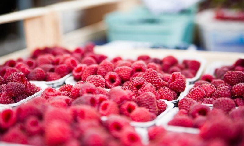    Фото pixabay.com