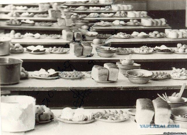 фото из интернета.