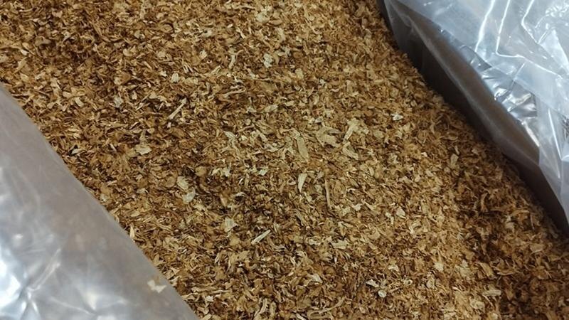    Фото: 178.fsvps.gov.ru