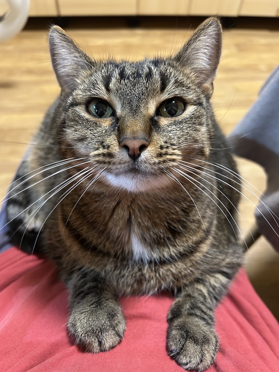    Василий, 7 лет, вес 7 кг