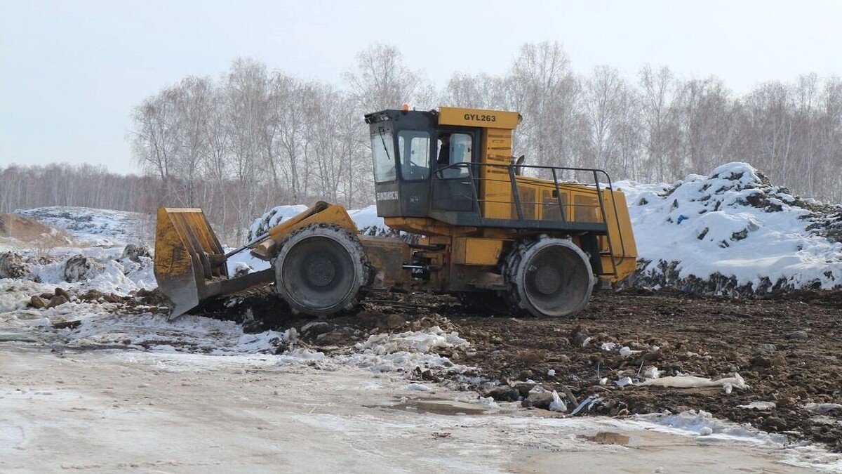     Источник: 1MI