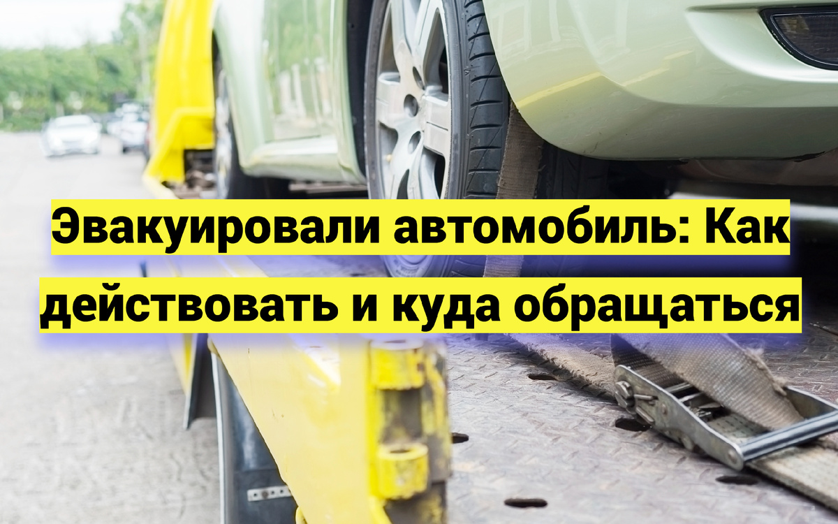 Источник фото: ru.freepik.com