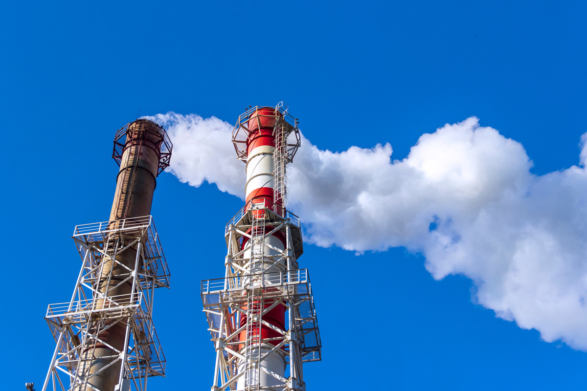    Фото: Urri / Shutterstock.com