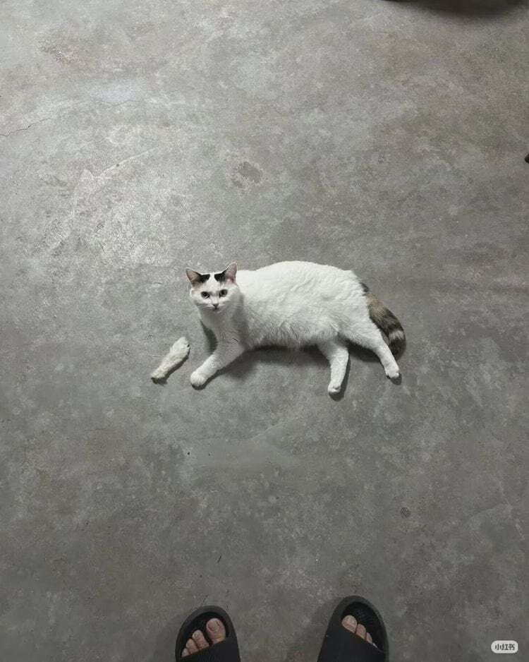 Источник: SpaceMarine663/reddit