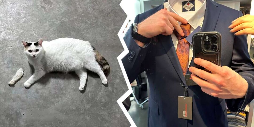 Вы тоже это видите? Снимки, которые сначала путают, а потом смешат