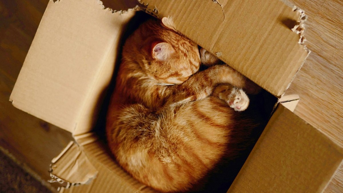 Фотография из интернета