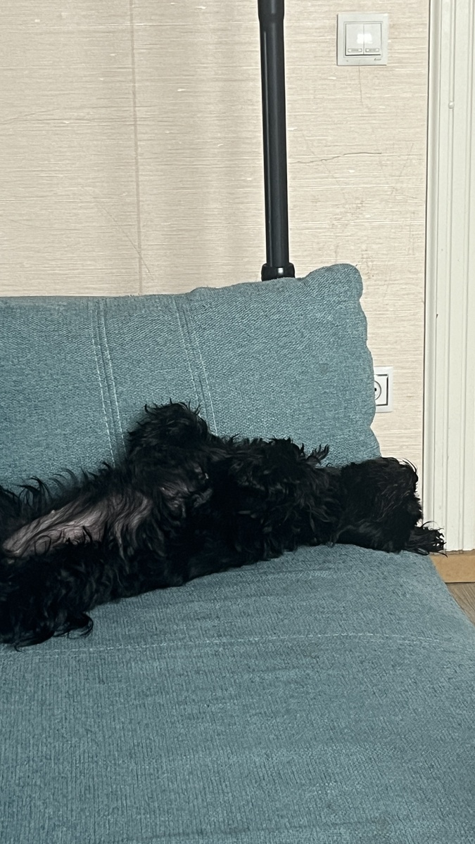 Вот у кого, у кого, а у нее точно жизнь удалась😆лежит на спине🤭