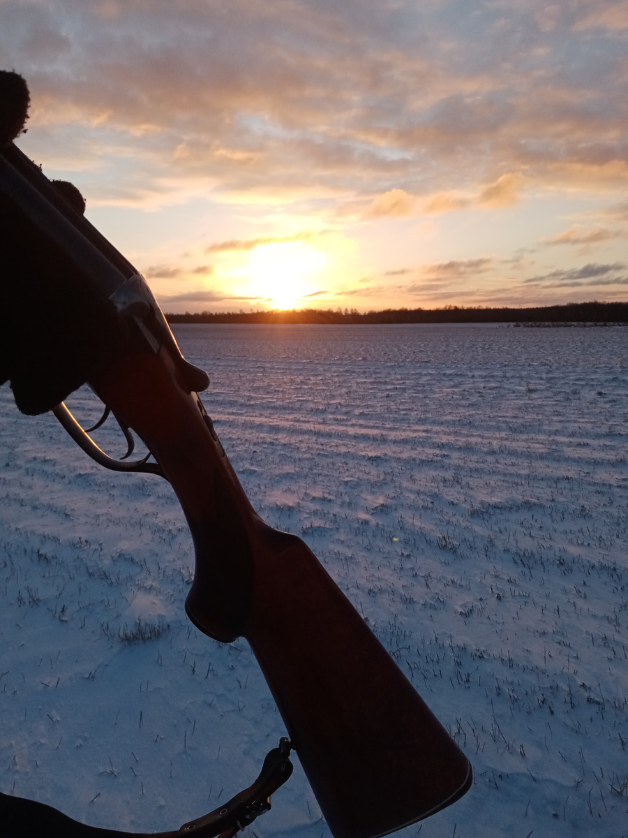 Мороз и солнце. 