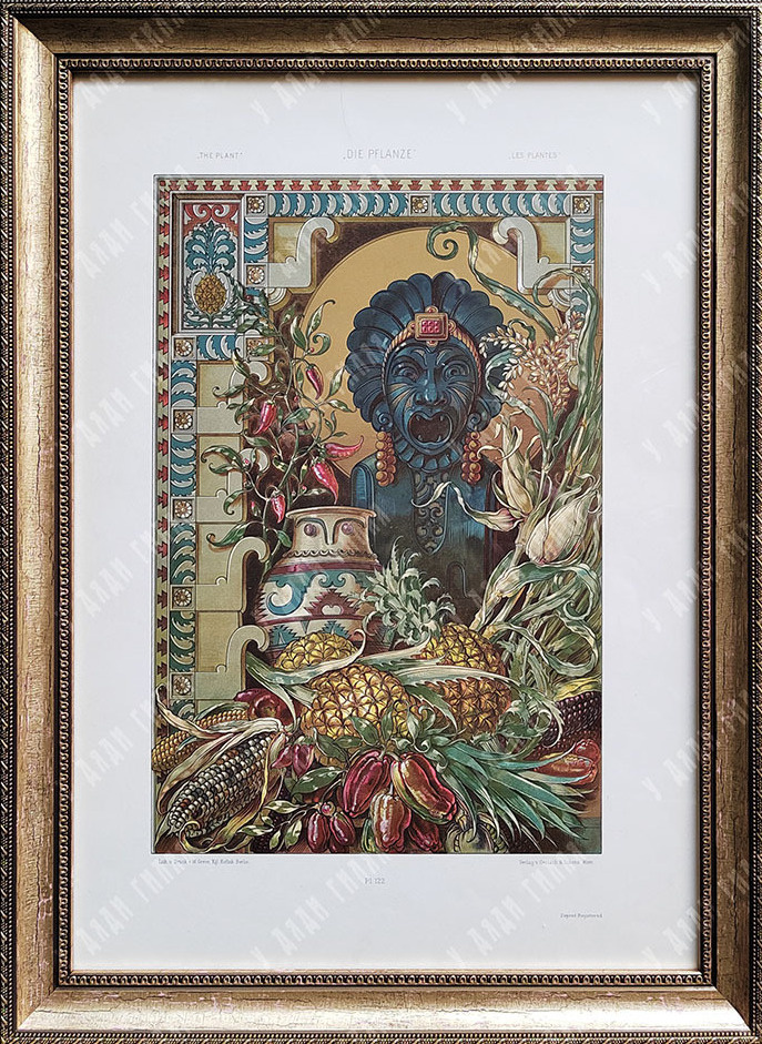 Антон Седер. «Растения». Литография. Вена, 1890-е гг.
