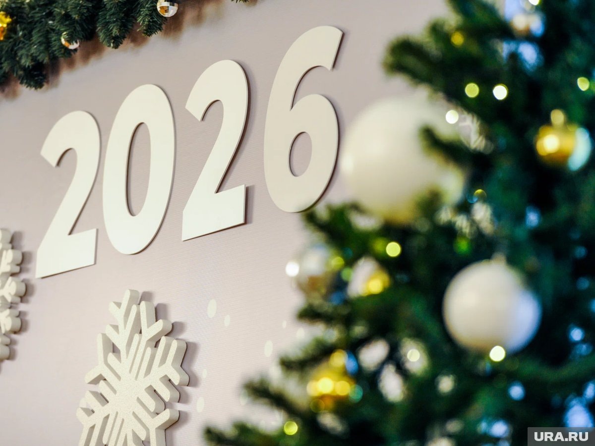     Чиновники запланировали активный отдых в новогодние праздники