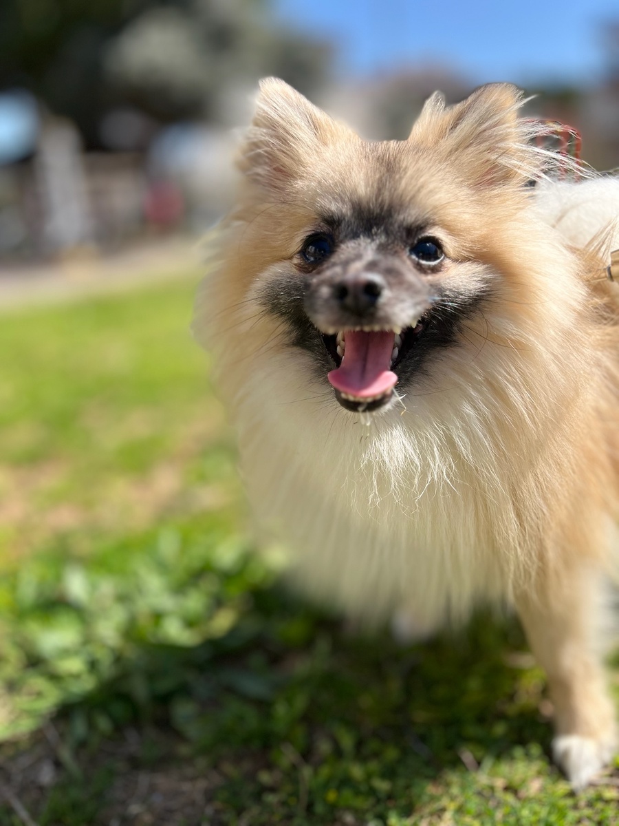 Анталия изнутри | Antalya Inside