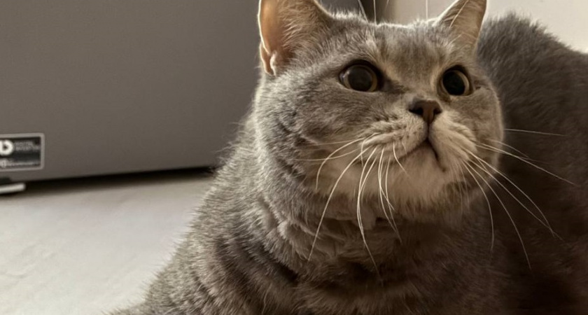    Фото Анастасии Дмитриевой