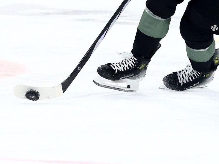     Фото: архив "МК в Мурманске" / Дарья Иванова