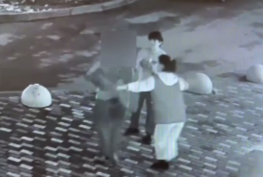     Видео: управление МВД