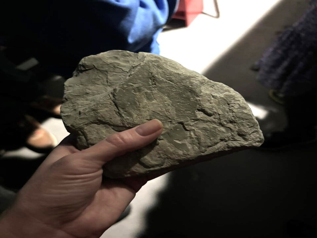 Образец породы - суглинок