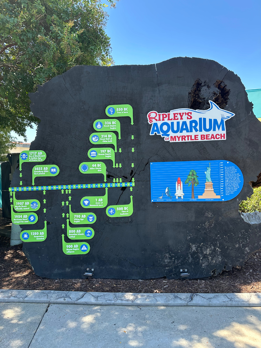 История Аквариума Рипли от «начала времён»