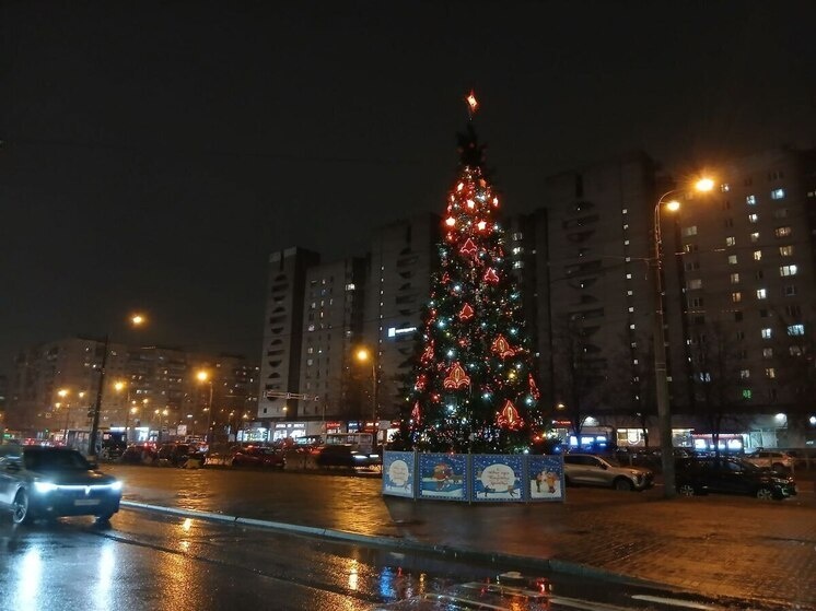     Фото: МК в Питере / Наталья Морозова