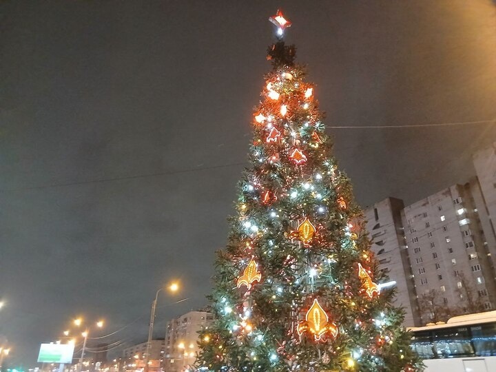     Фото: МК в Питере / Наталья Морозова