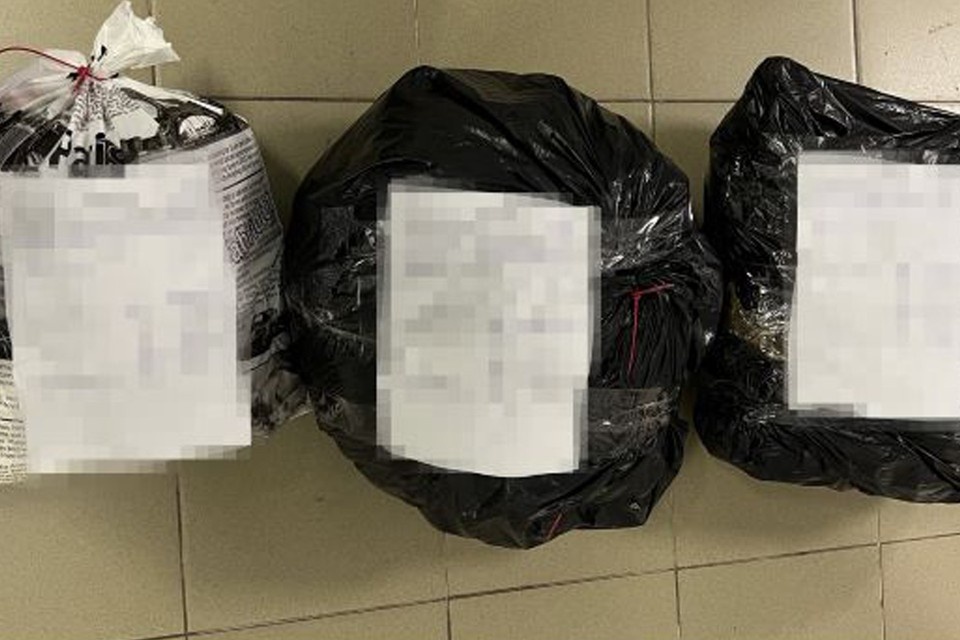    Вещества пытались провезти в три захода. Фото: t.me/customs_rf