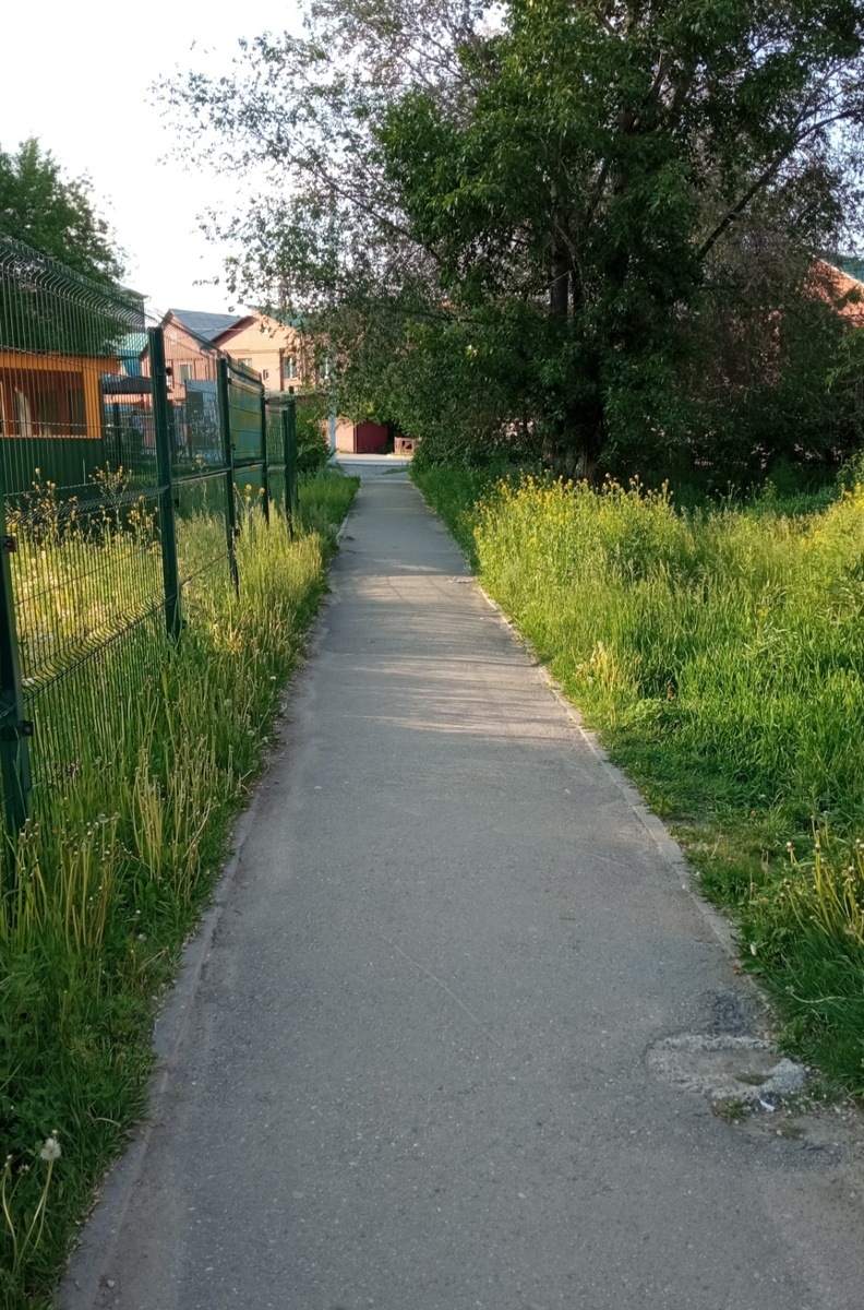 Хочу тепла и лета, прекратить уже болеть. Боже Мой, дай нам тепла и лета. 