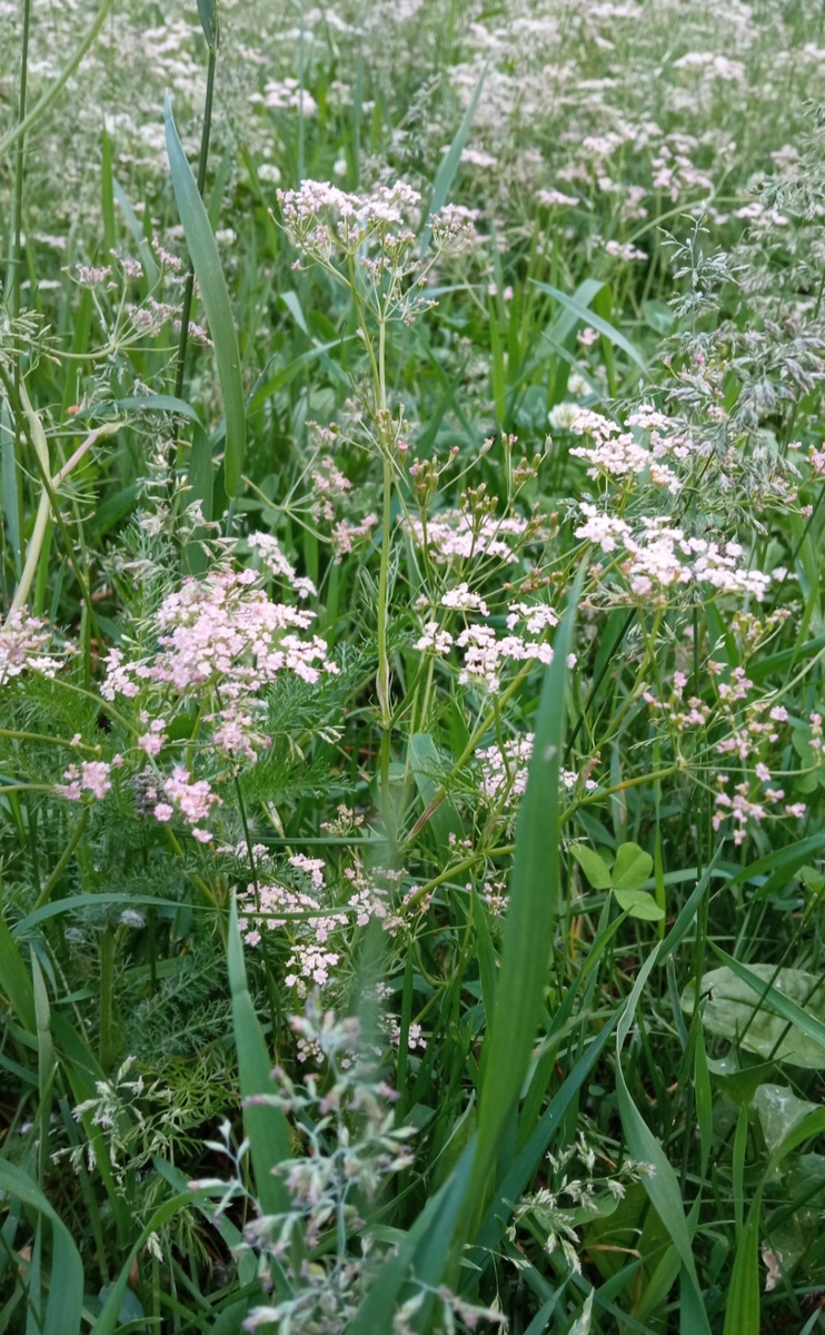 Хочу в тепло