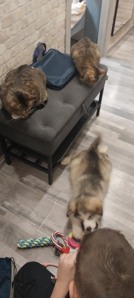 Знакомство)))