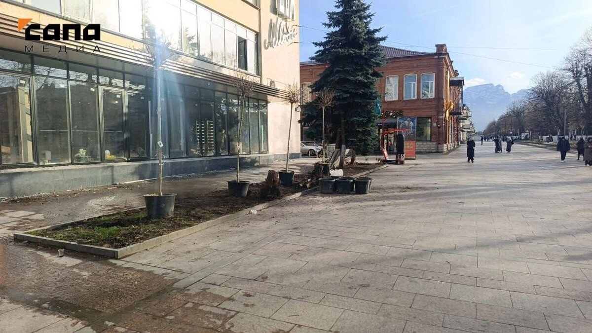    Фото: Сапа медиа