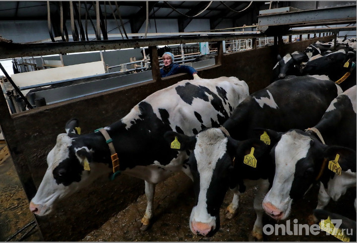 фото: Валентин Илюшин/Online47