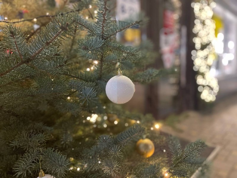 Фото: издание «Утренний Юг»