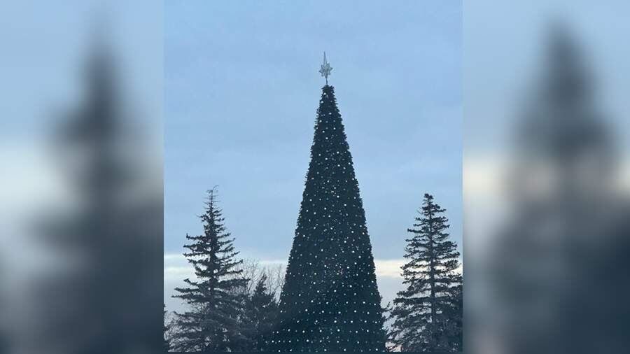    Фото: пресс-служба администрации Липецка