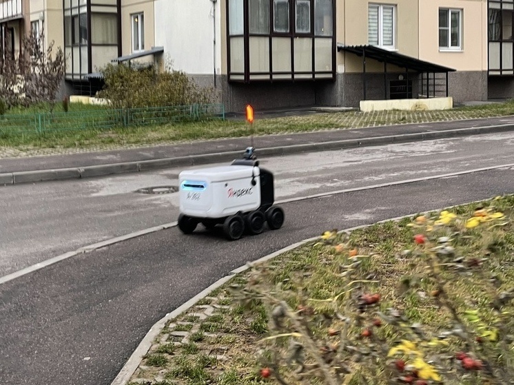     Фото: архив МК в Питере