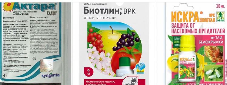 Некоторые из системных препаратов -неоникотиноидов. Фото Натальи Мироновой 