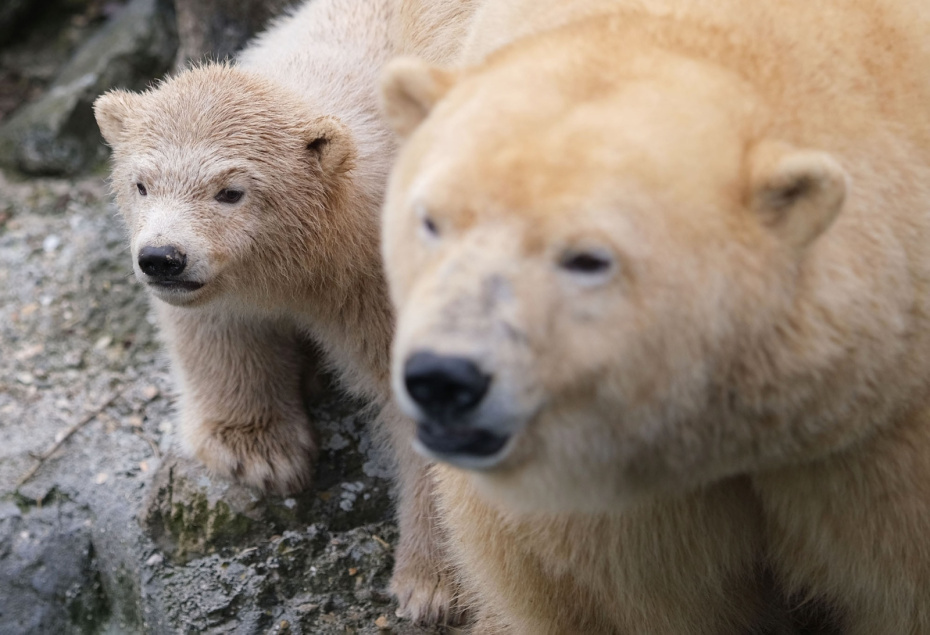    Peter Steffen/dpa/Global Look Press