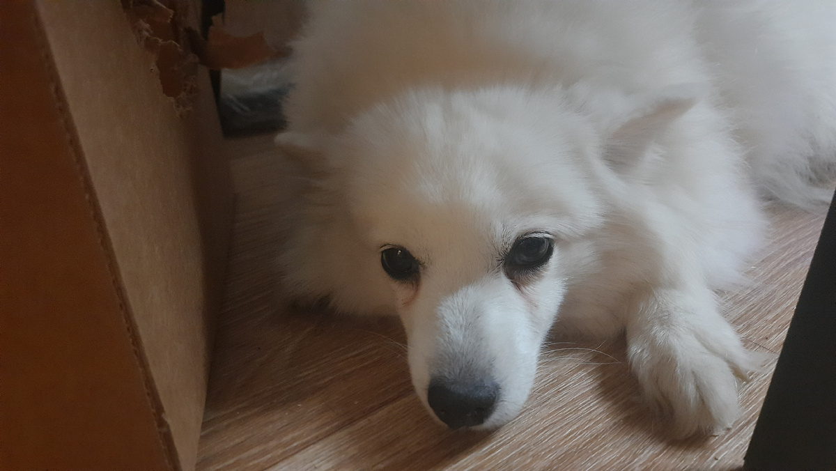 Сегодня испытала массу ярких впечатлений: от принятия ситуации и даже криков. Как прошёл ваш день?