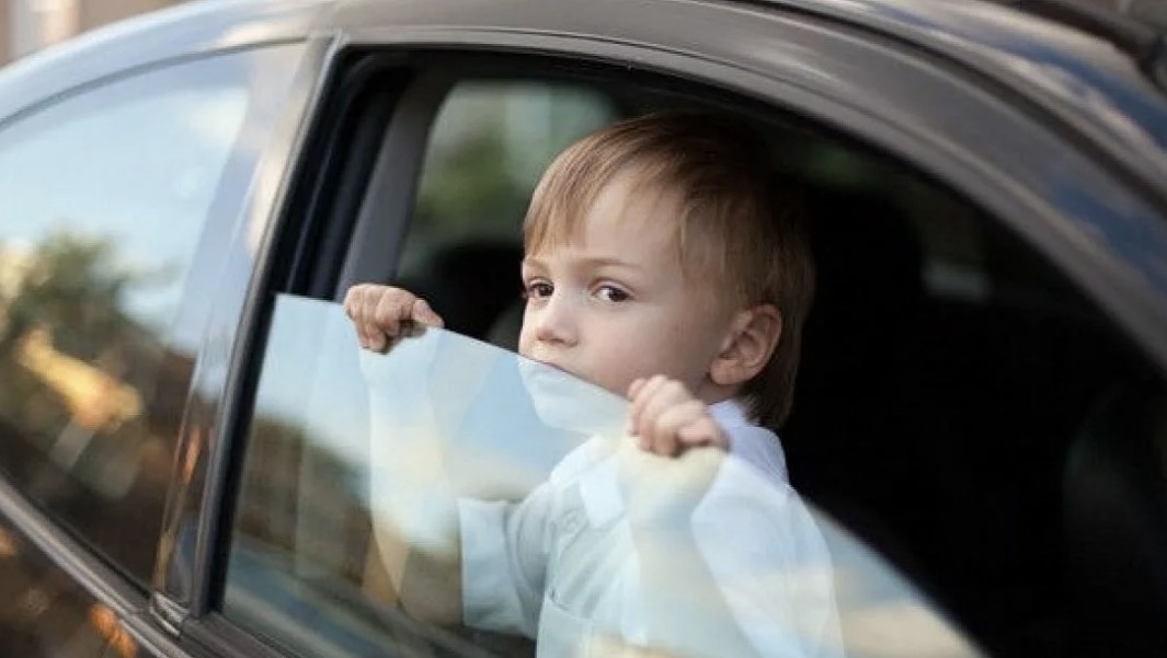 Изображение взято с сервиса Яндекс.Картинки