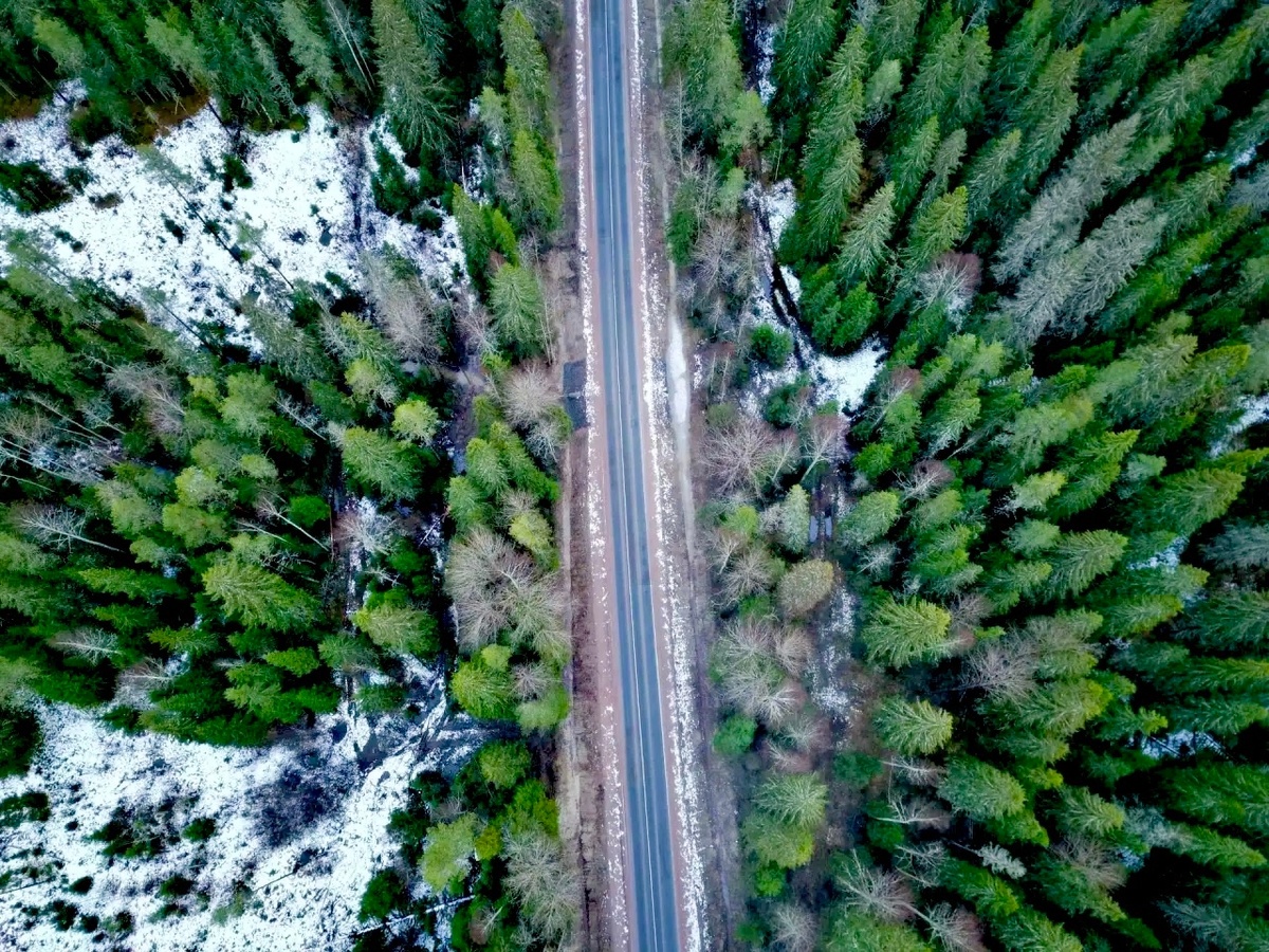    фото: © Минтранс Карелии / VK