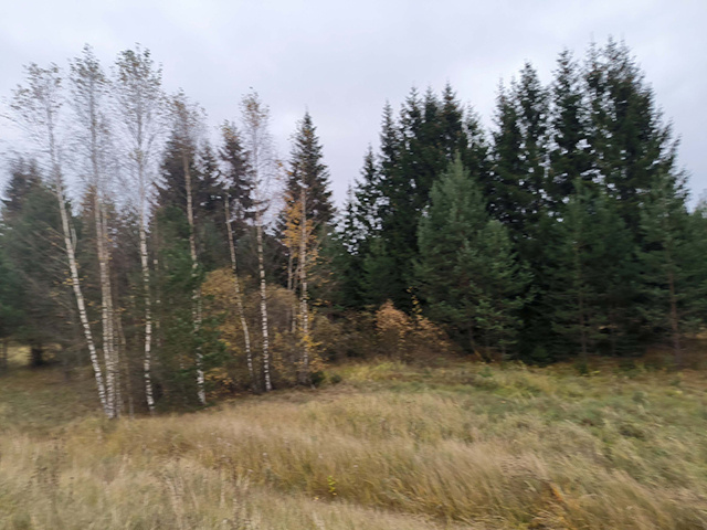 У тверских землевладельцев изъято 9 га неиспользуемых сельхозугодий