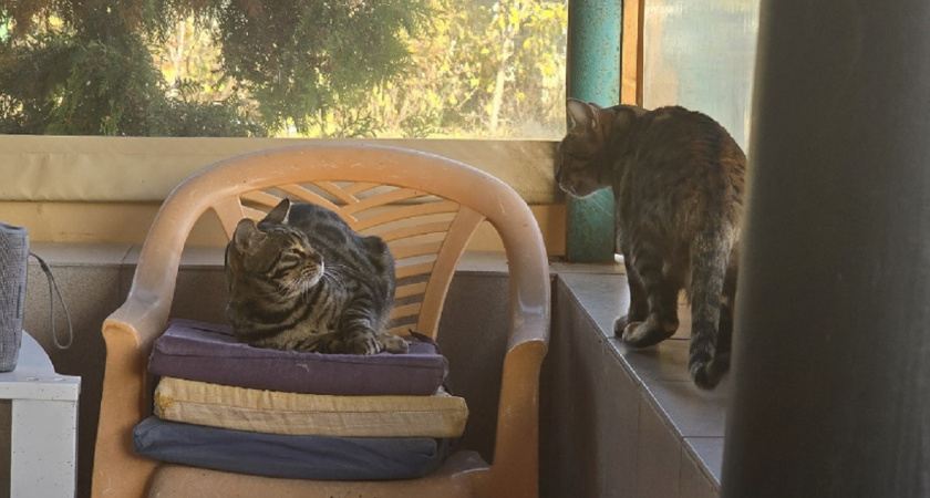    Фото Анастасии Дмитриевой