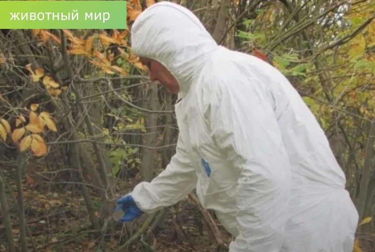    Фото: Минприроды Ростовской области