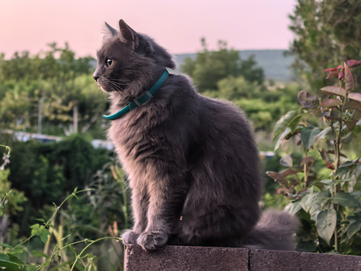 Фото из архива, к рассказу отношения не имеют