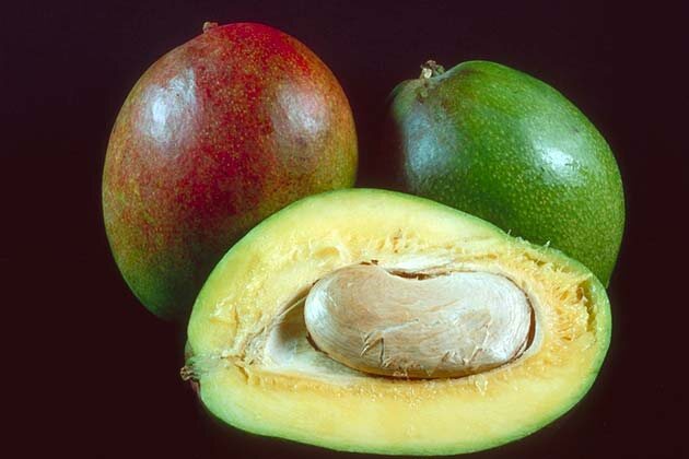 И снова о профессии «Писатель» и о писательском стандарте