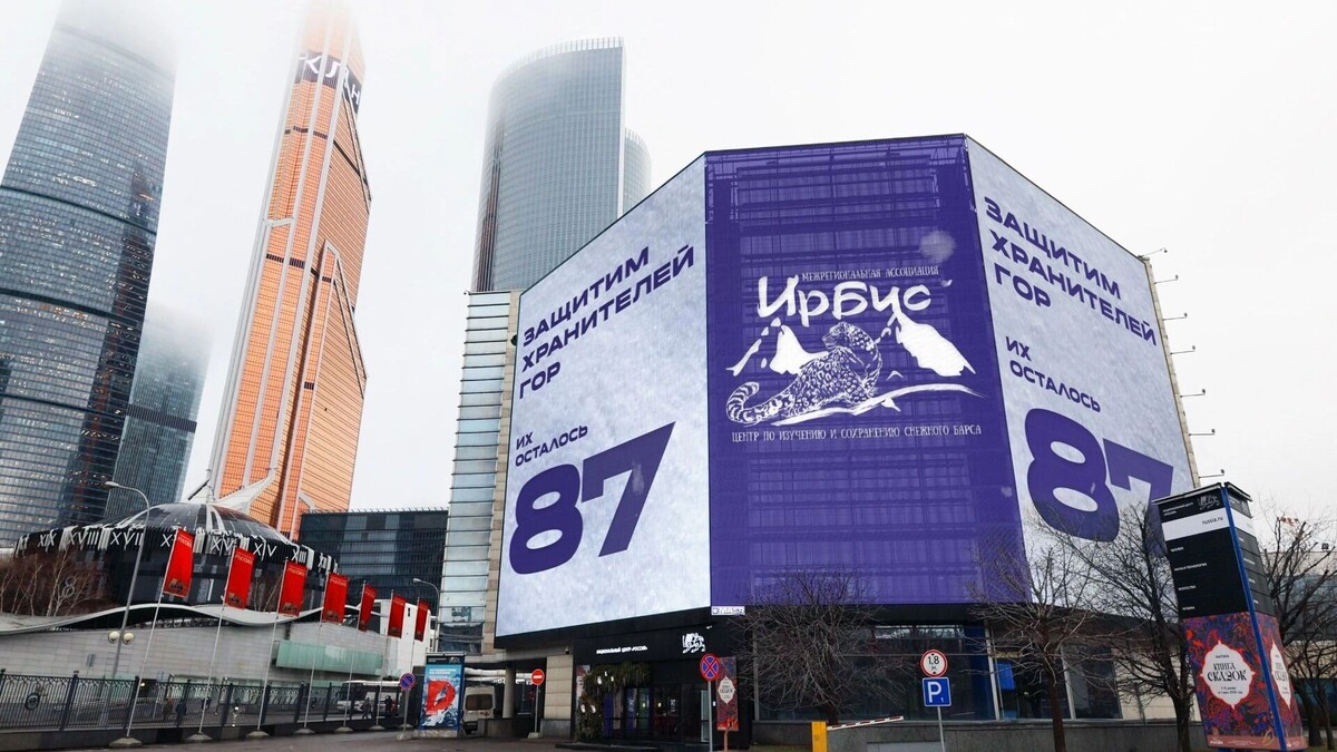     Источник: МАЕР