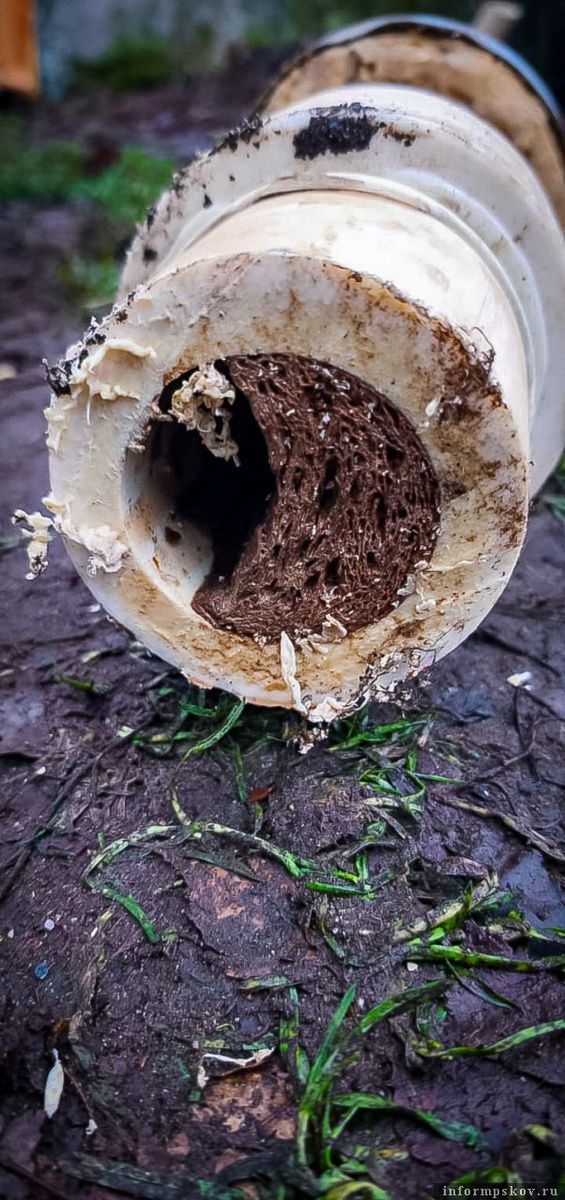 Фото здесь и далее: телеграм-канал Псковских тепловых сетей