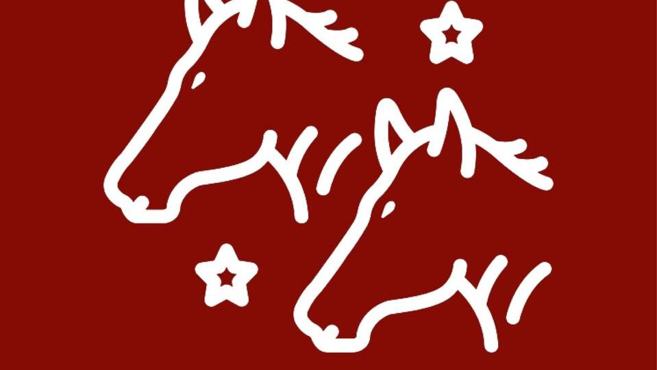 2026 год Лошади, чего ждать?