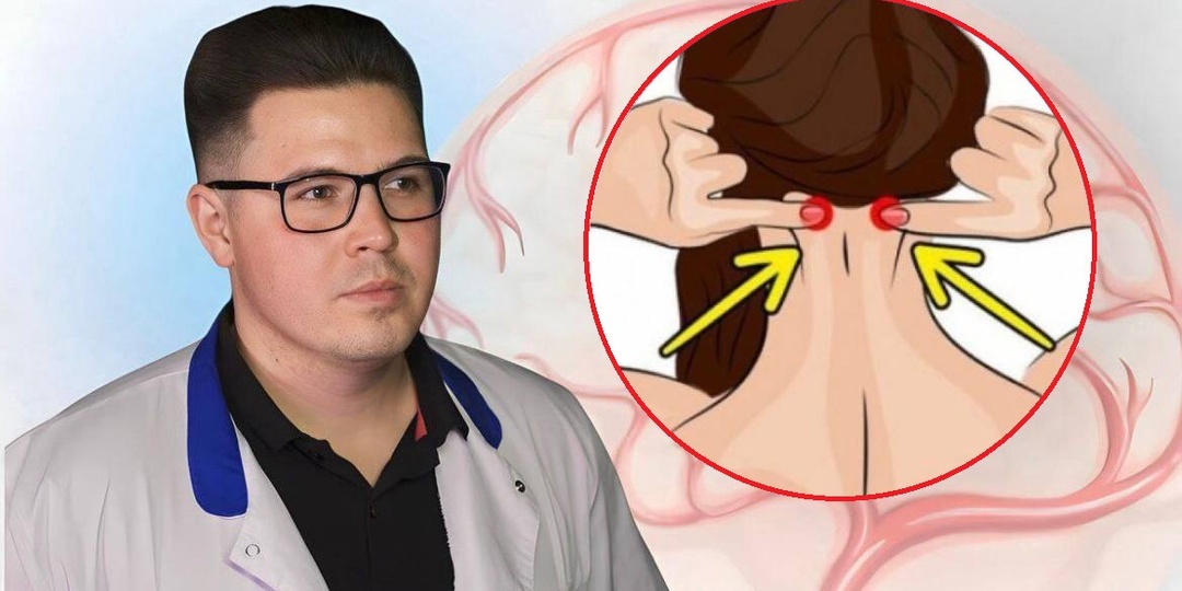 Точка долголетия мозга: как одна зона в затылке влияет на память и ясность головы