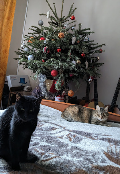 Черная Симона на переднем плане.Новый год-2023. Фото автора