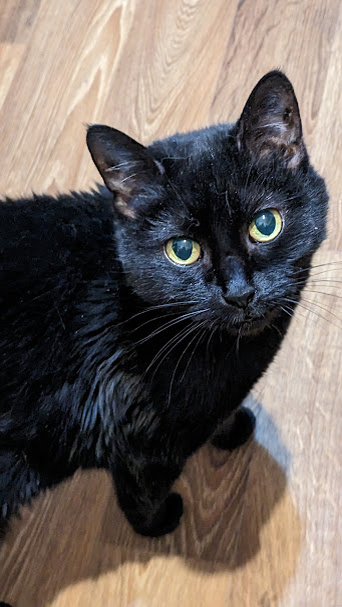 Симона в октябре 2025 года